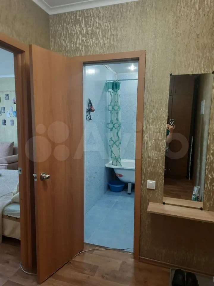 Однокомнатная квартира Николая Панова улица, 52, фото №10