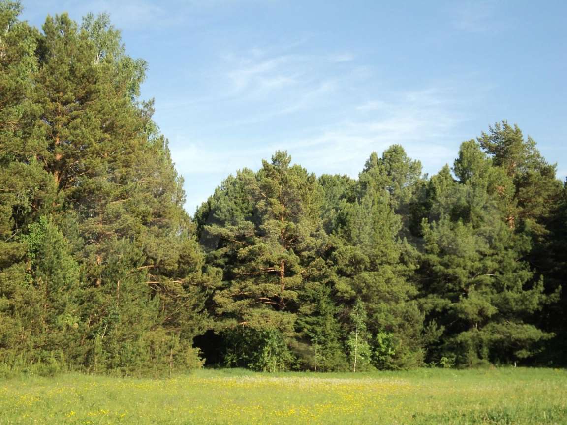 Дом 6 улица, фото №6