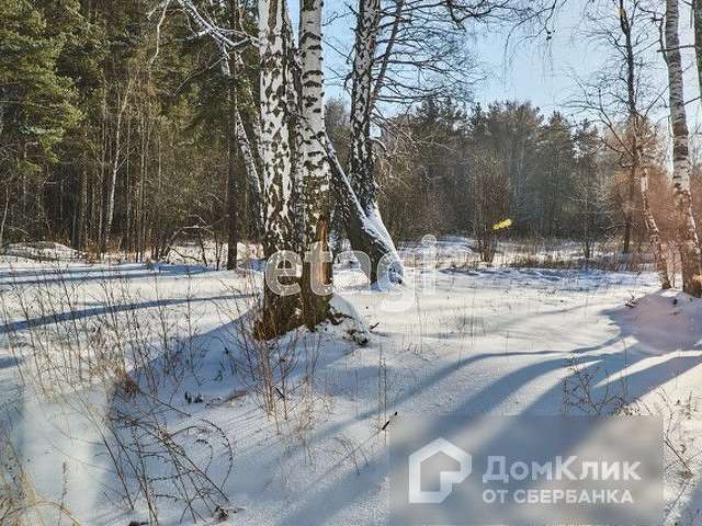 Студия Мичурина улица, 99, фото №7