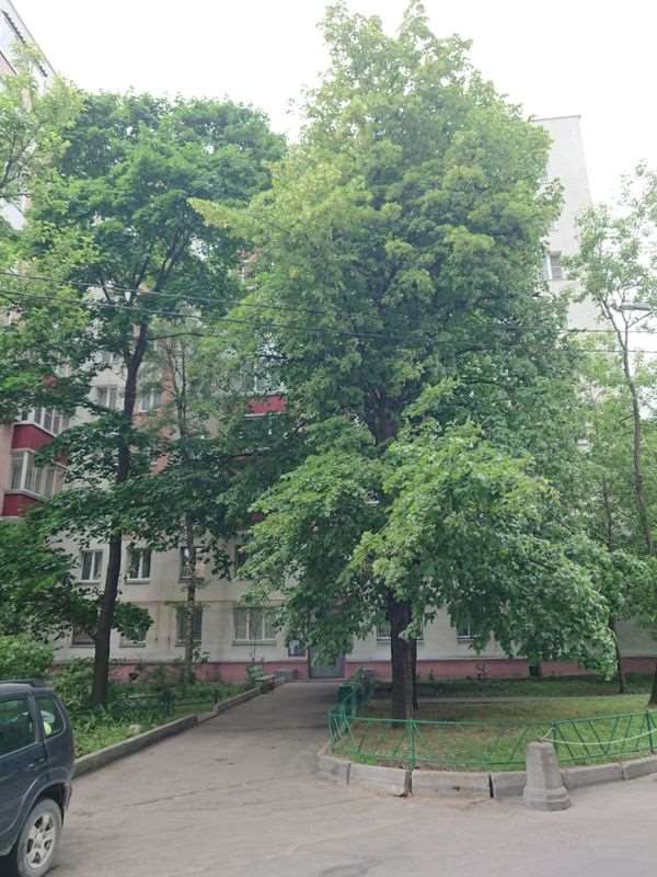 Двухкомнатная квартира Алабяна улица, 17 к. 1, фото №1