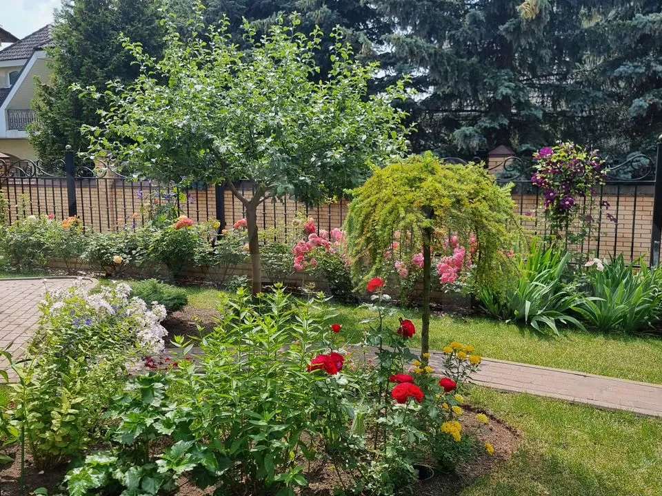 Дом  комнаты 3 улица, 60, фото №9