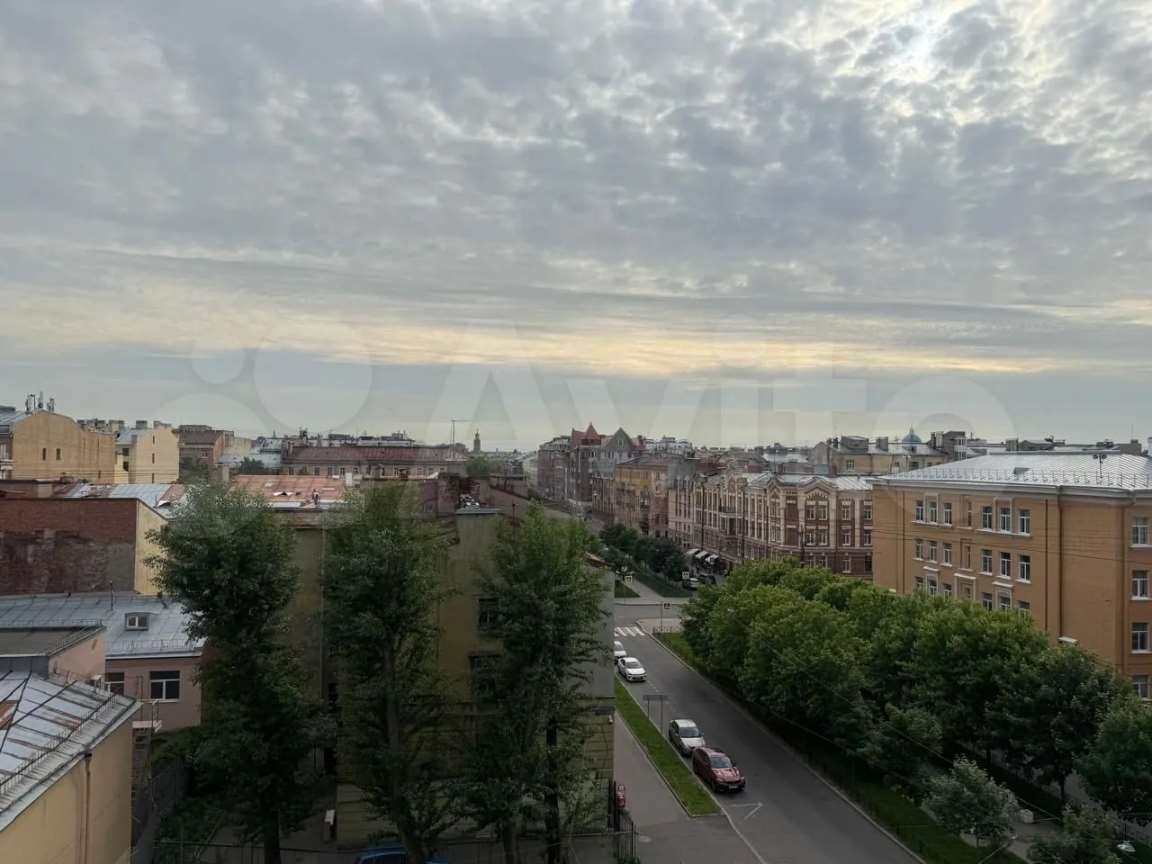 -и комнатная ул. Пушкинская (МО "г. Пушкин") улица, фото №7