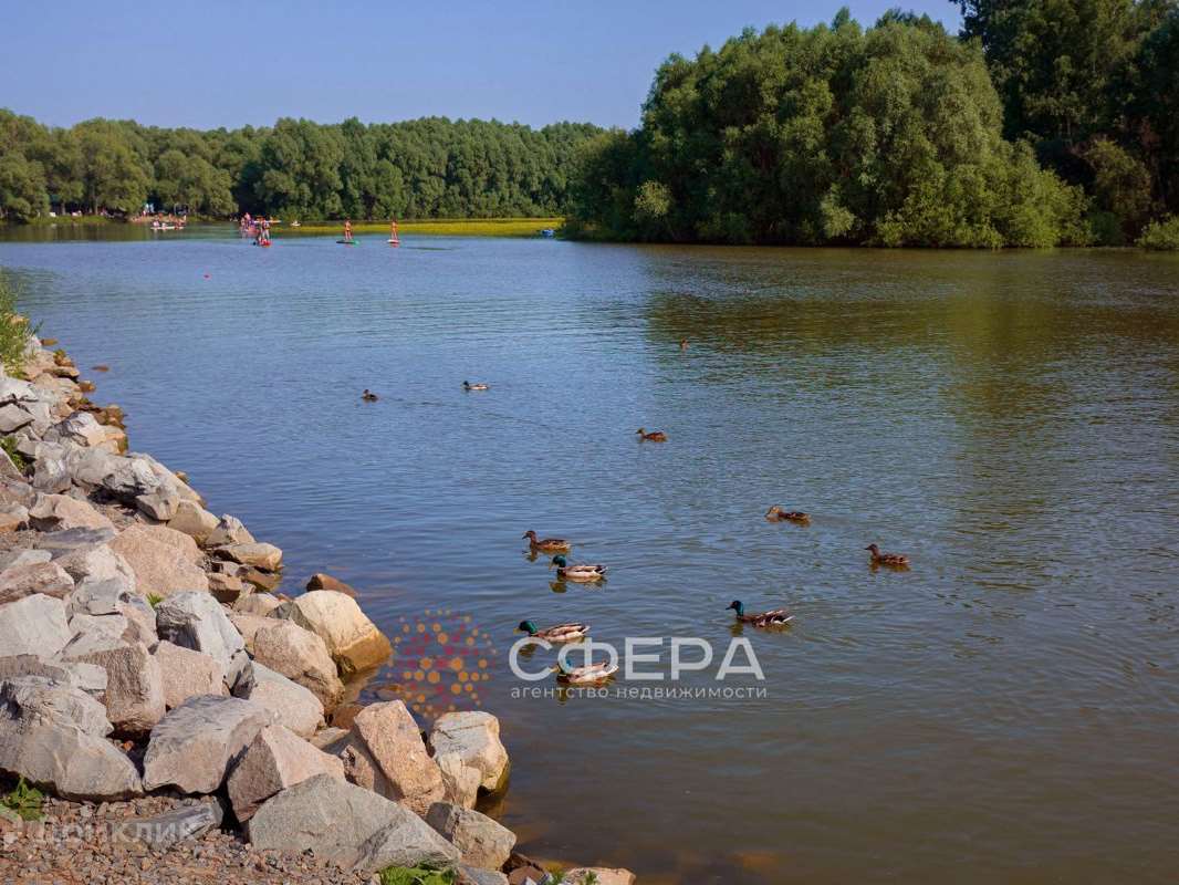 Двухкомнатная квартира Новосибирск улица, фото №1