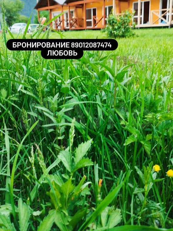 Дом  комнаты Горный улица, фото №2