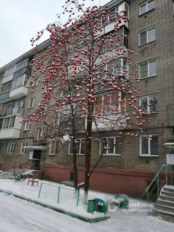 Однокомнатная квартира Новосибирск улица, фото №6