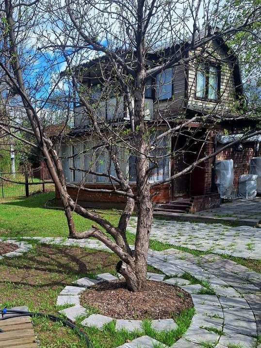 Дом 3 комнаты Новосибирск улица, фото №1