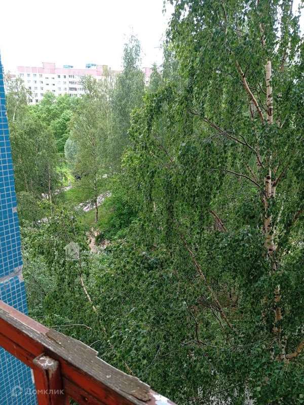 Двухкомнатная квартира пр. Комендантский проспект, 24 к. 3, фото №8