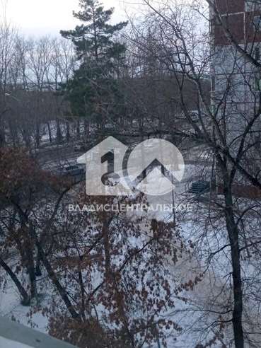 Студия Новосибирск улица, фото №10