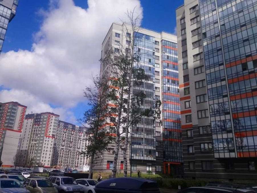 Однокомнатная квартира ул. Кушелевская дорога улица, 3 к. 3, фото №9