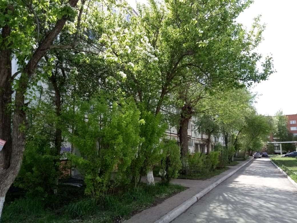 Комната Челябинск улица, фото №5