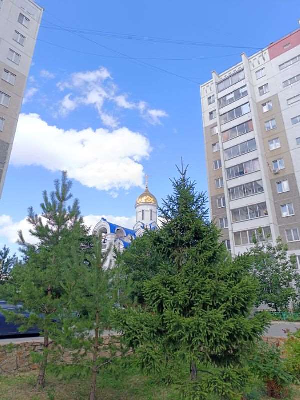 Однокомнатная квартира 40-летия Победы улица, 29, фото №1