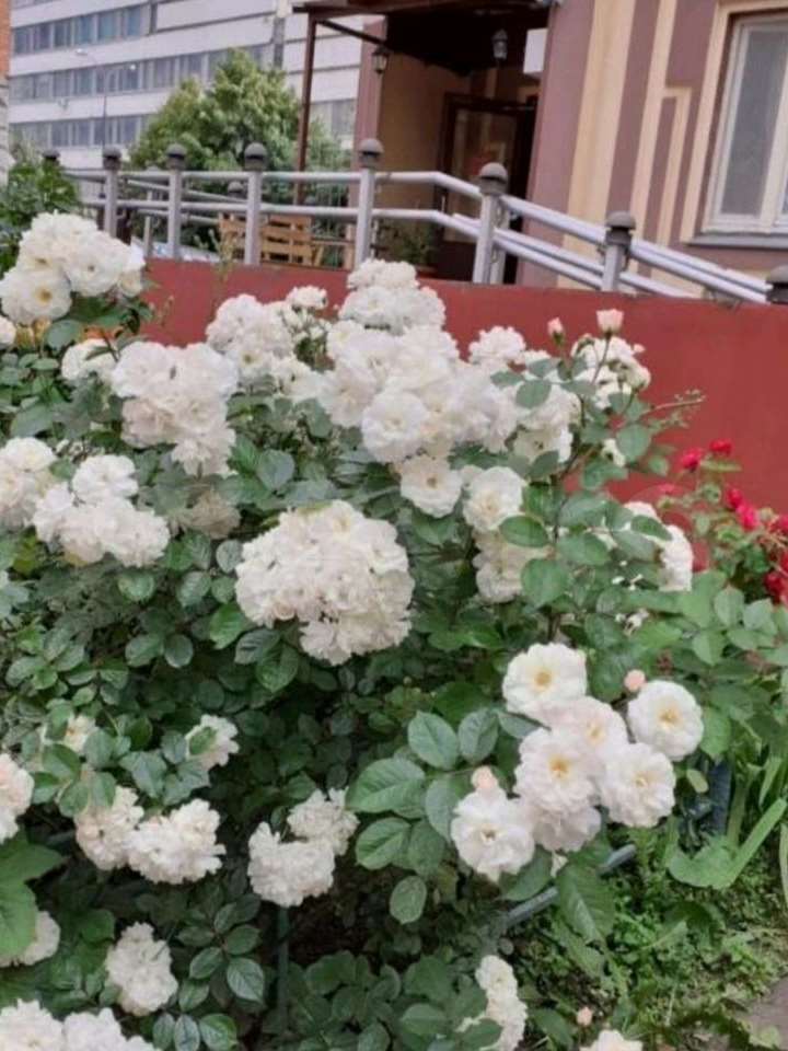 Комната Академика Анохина улица, 5 к. 2, фото №10