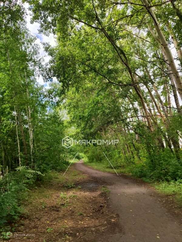 Студия Новосибирск улица, фото №1
