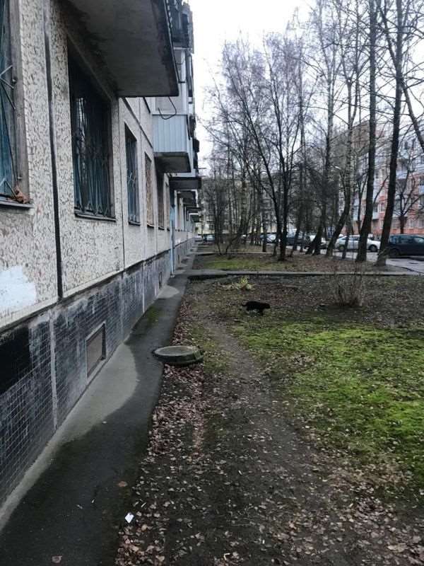 Двухкомнатная квартира ул. Пролетарская (МО "г. Колпино") улица, 107, фото №8