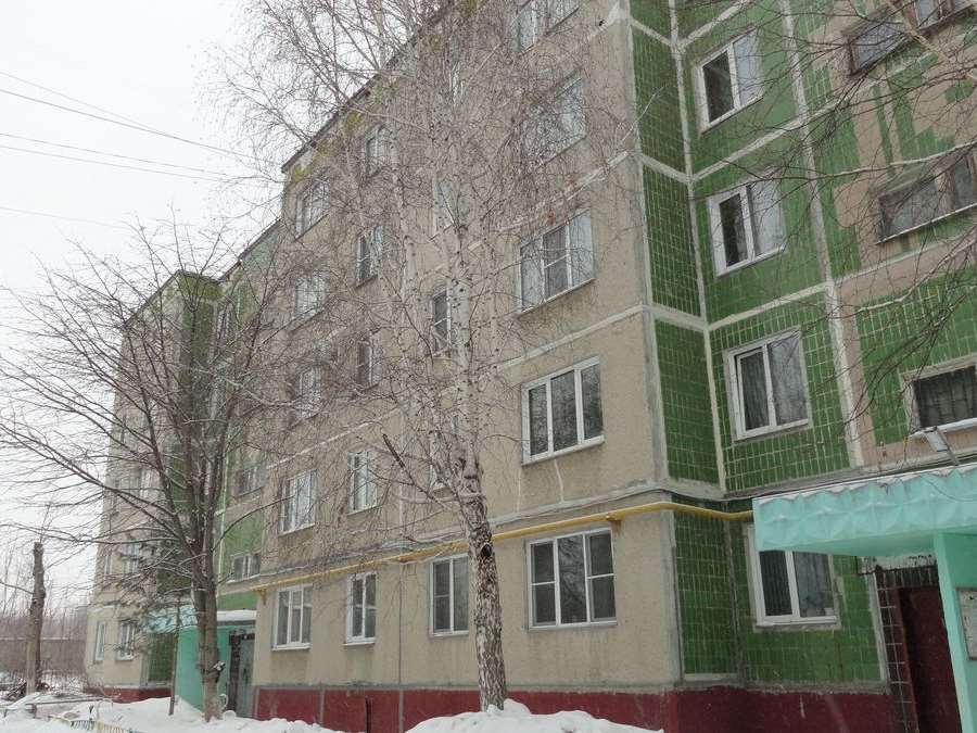 Однокомнатная квартира Шагольская 1-й квартал улица, 4, фото №1